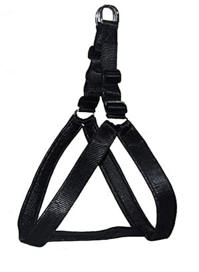KittuPet Dog Harness & Chain (Small, Black) - Image 2